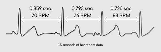 Heart Beat Data Heart Beat Data
